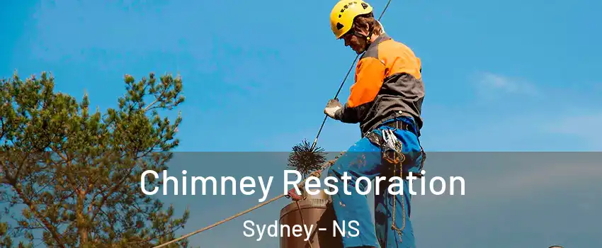  Chimney Restoration Sydney - NS