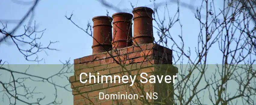  Chimney Saver Dominion - NS