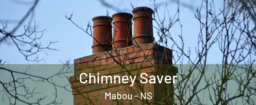  Chimney Saver Mabou - NS
