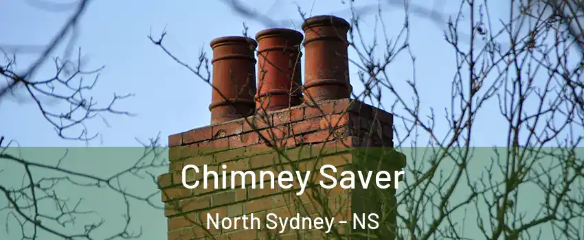  Chimney Saver North Sydney - NS