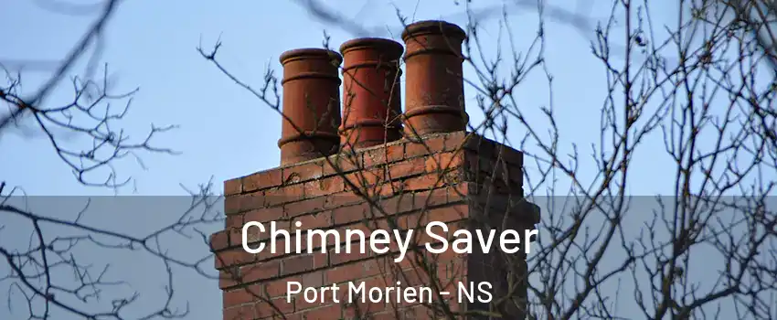  Chimney Saver Port Morien - NS