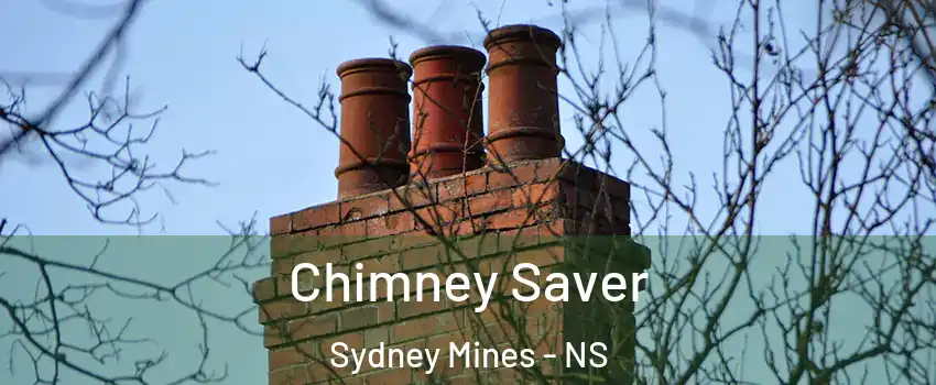  Chimney Saver Sydney Mines - NS