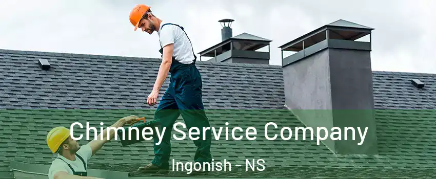 Chimney Service Company Ingonish - NS
