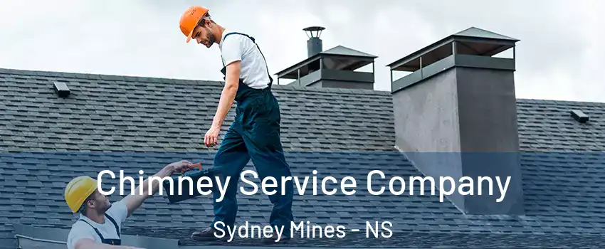  Chimney Service Company Sydney Mines - NS
