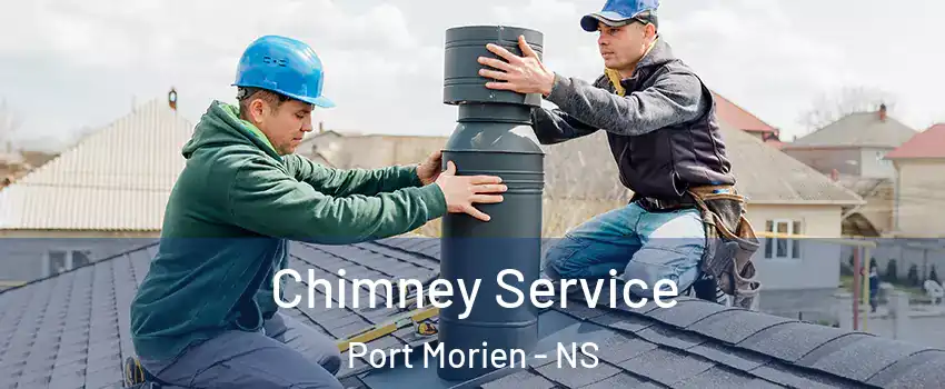  Chimney Service Port Morien - NS