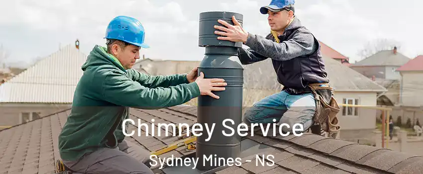  Chimney Service Sydney Mines - NS