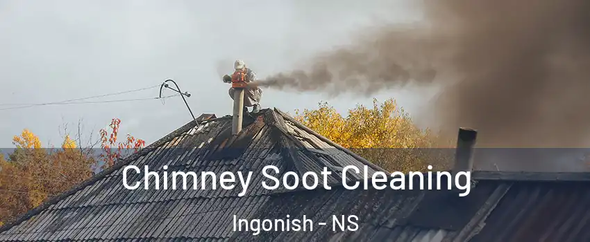  Chimney Soot Cleaning Ingonish - NS