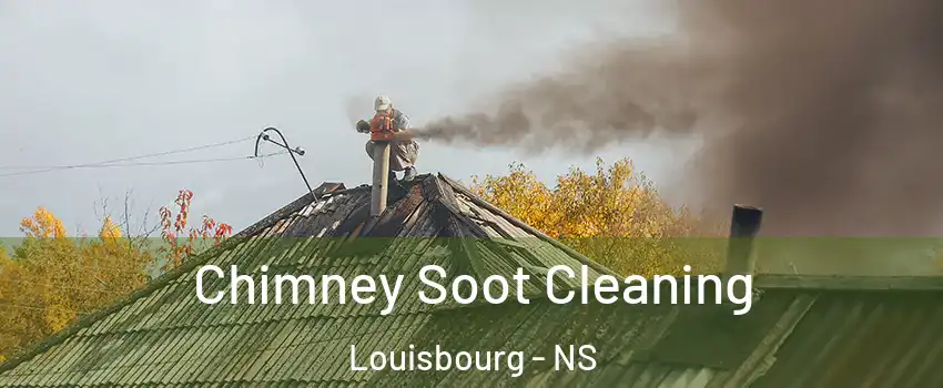  Chimney Soot Cleaning Louisbourg - NS