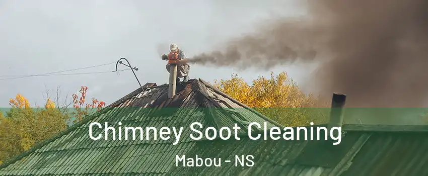  Chimney Soot Cleaning Mabou - NS