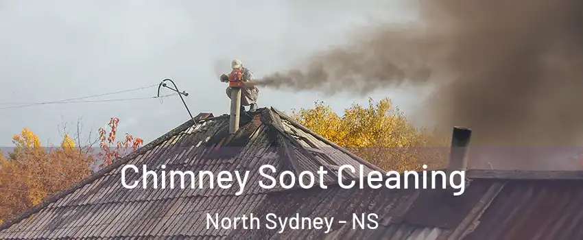 Chimney Soot Cleaning North Sydney - NS