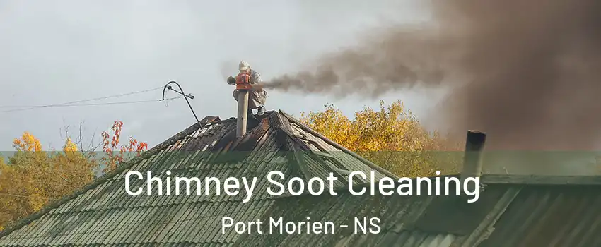  Chimney Soot Cleaning Port Morien - NS