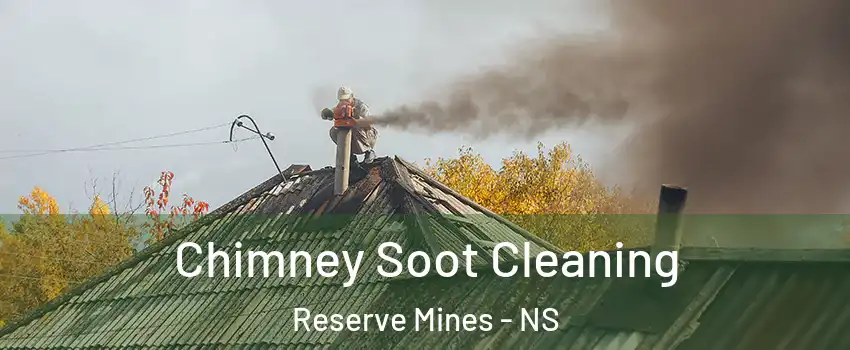  Chimney Soot Cleaning Reserve Mines - NS