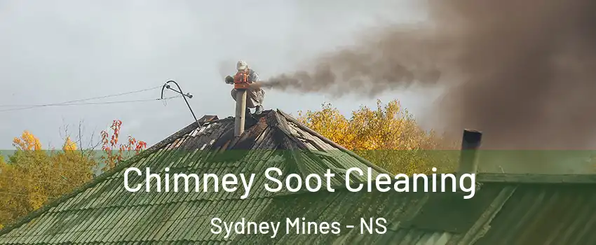  Chimney Soot Cleaning Sydney Mines - NS
