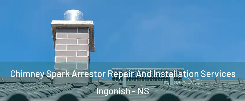 Chimney Spark Arrestor Repair And Installation Services Ingonish - NS