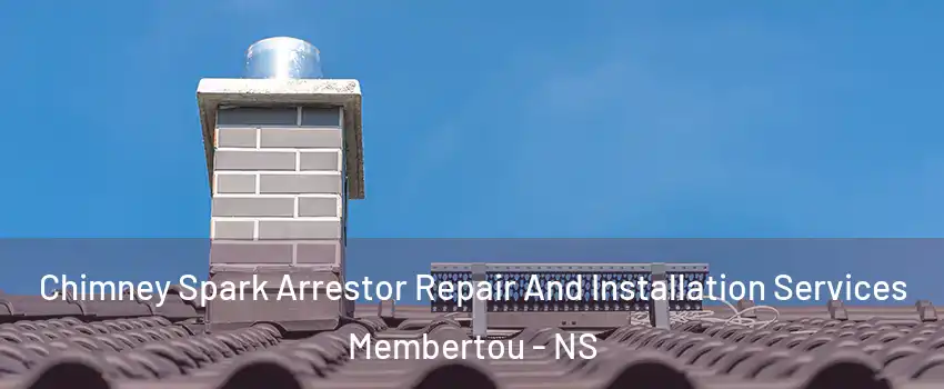  Chimney Spark Arrestor Repair And Installation Services Membertou - NS