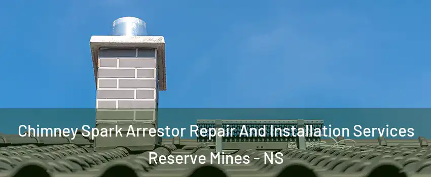  Chimney Spark Arrestor Repair And Installation Services Reserve Mines - NS