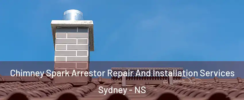  Chimney Spark Arrestor Repair And Installation Services Sydney - NS