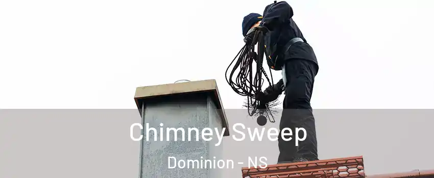  Chimney Sweep Dominion - NS