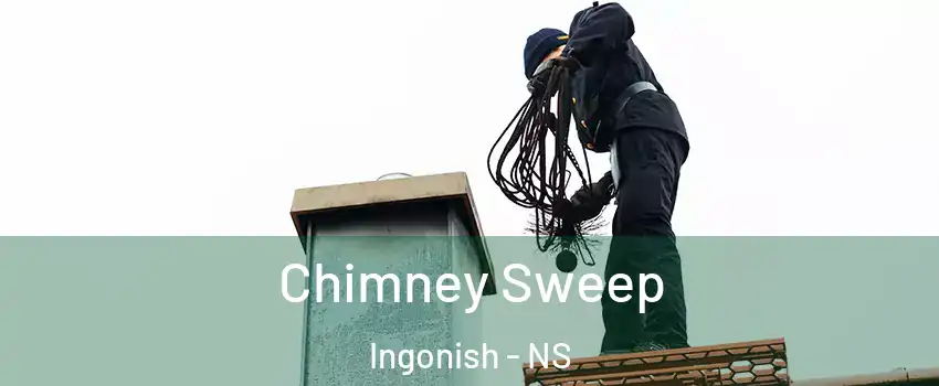  Chimney Sweep Ingonish - NS