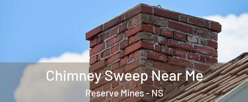  Chimney Sweep Near Me Reserve Mines - NS
