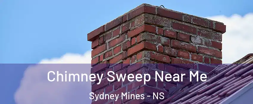  Chimney Sweep Near Me Sydney Mines - NS