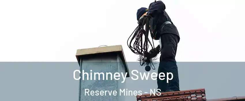  Chimney Sweep Reserve Mines - NS