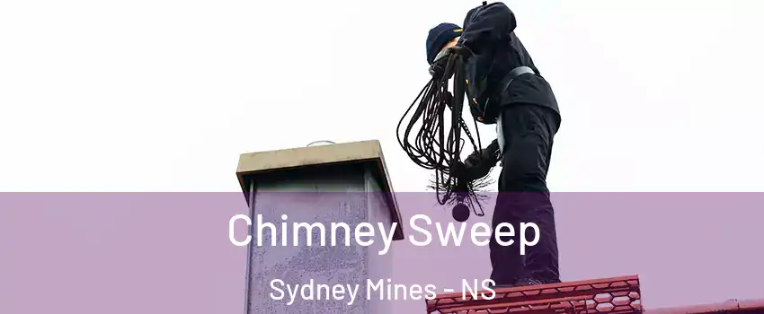  Chimney Sweep Sydney Mines - NS