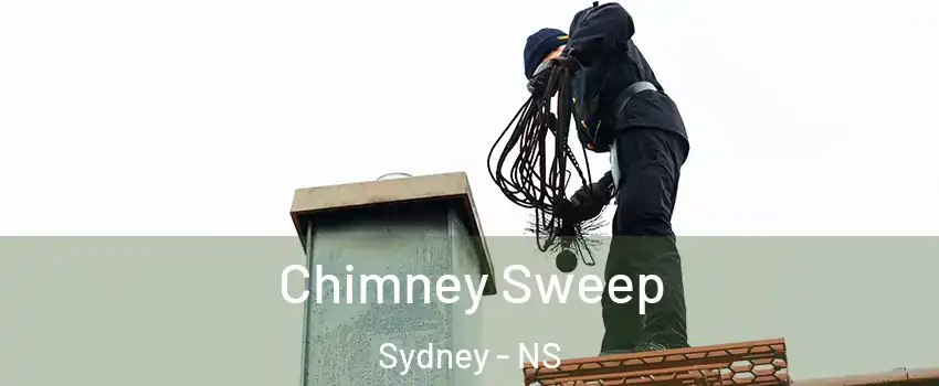  Chimney Sweep Sydney - NS