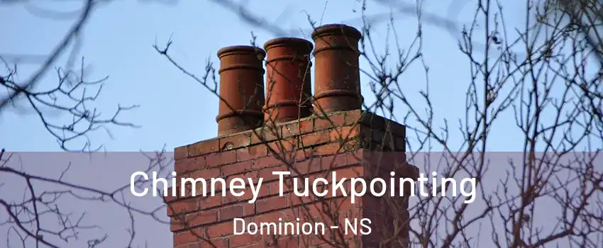  Chimney Tuckpointing Dominion - NS