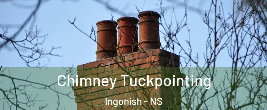  Chimney Tuckpointing Ingonish - NS