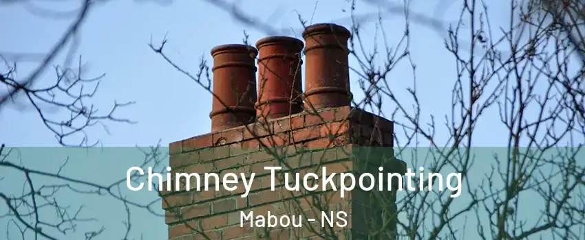  Chimney Tuckpointing Mabou - NS