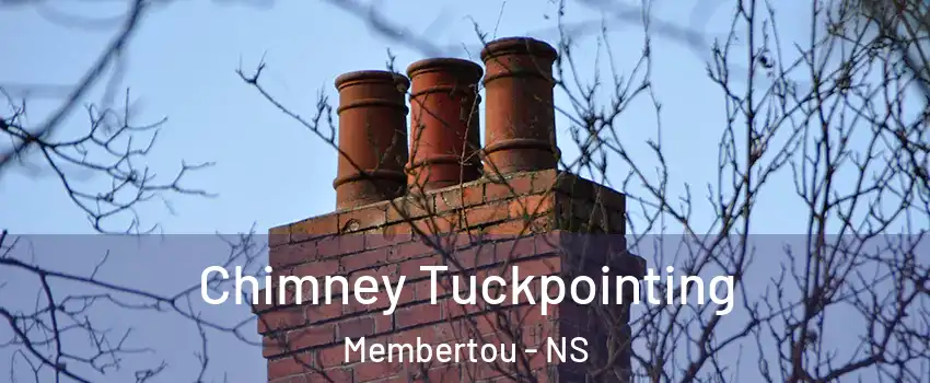  Chimney Tuckpointing Membertou - NS