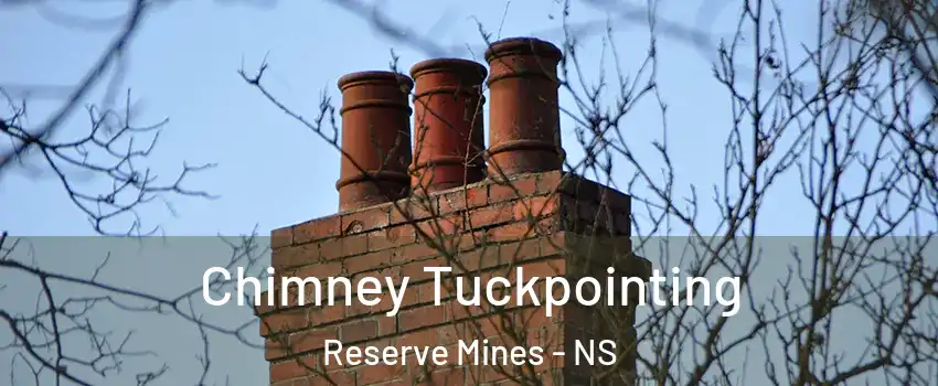  Chimney Tuckpointing Reserve Mines - NS