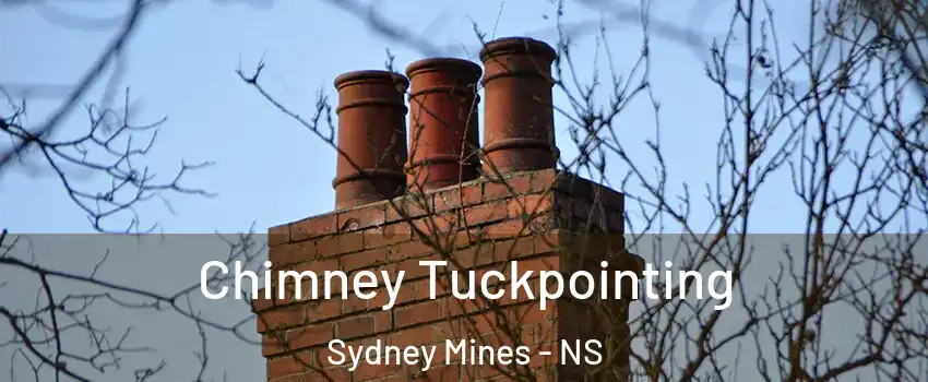  Chimney Tuckpointing Sydney Mines - NS