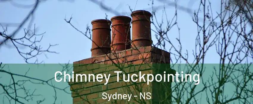 Chimney Tuckpointing Sydney - NS
