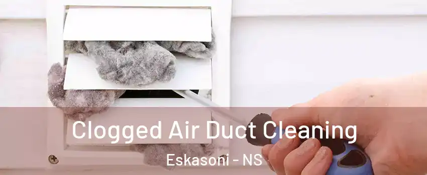  Clogged Air Duct Cleaning Eskasoni - NS