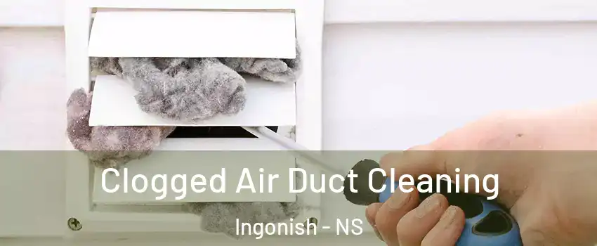  Clogged Air Duct Cleaning Ingonish - NS