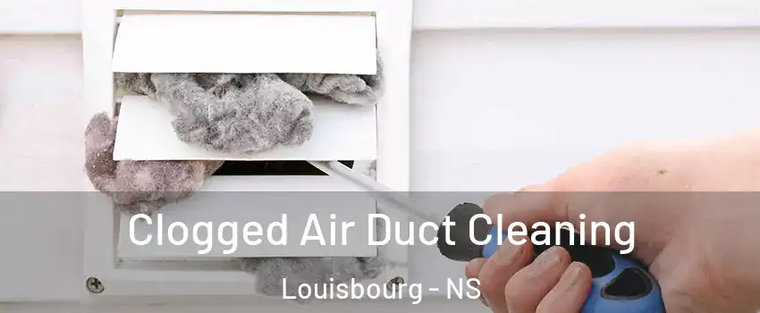  Clogged Air Duct Cleaning Louisbourg - NS