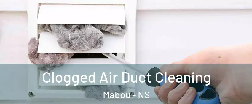  Clogged Air Duct Cleaning Mabou - NS