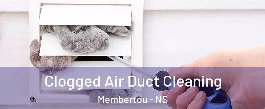  Clogged Air Duct Cleaning Membertou - NS