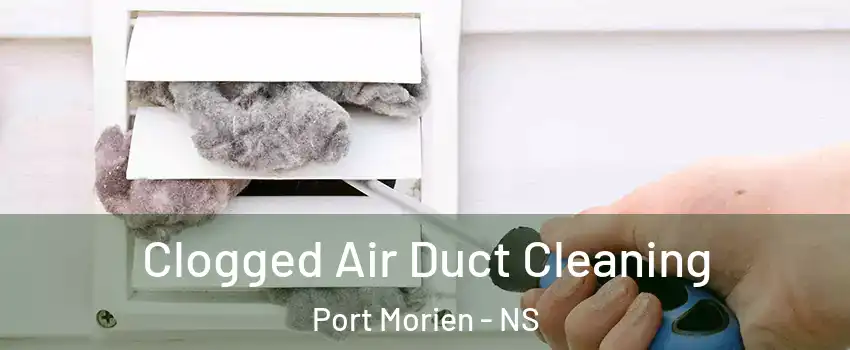  Clogged Air Duct Cleaning Port Morien - NS