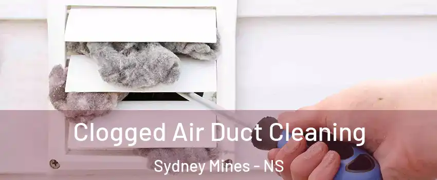  Clogged Air Duct Cleaning Sydney Mines - NS