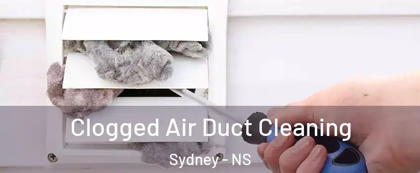  Clogged Air Duct Cleaning Sydney - NS
