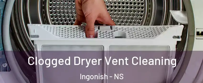  Clogged Dryer Vent Cleaning Ingonish - NS