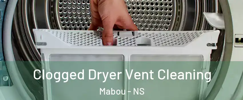  Clogged Dryer Vent Cleaning Mabou - NS