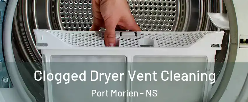  Clogged Dryer Vent Cleaning Port Morien - NS