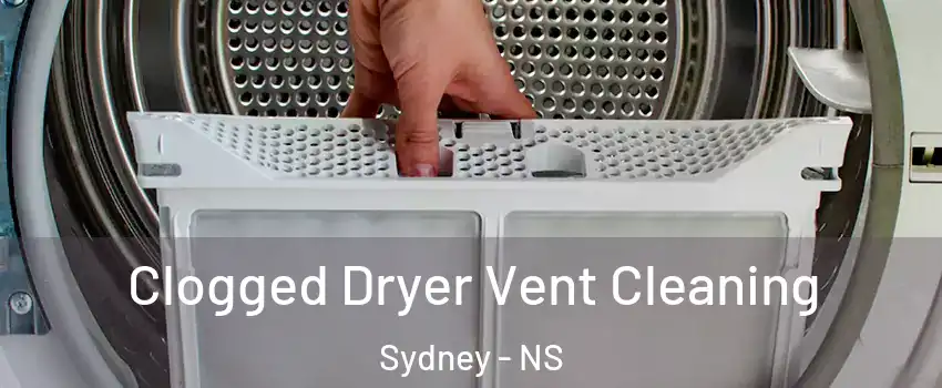  Clogged Dryer Vent Cleaning Sydney - NS