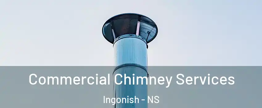  Commercial Chimney Services Ingonish - NS