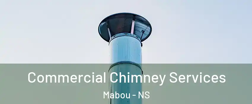  Commercial Chimney Services Mabou - NS