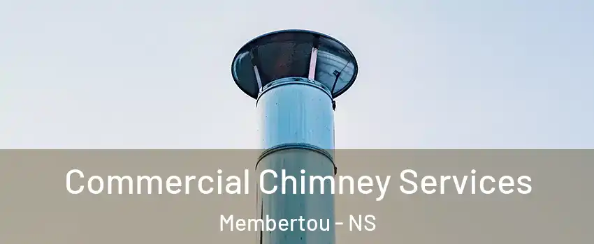  Commercial Chimney Services Membertou - NS